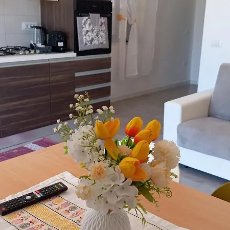 Apartment Civico 28