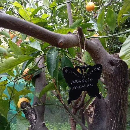 Civico 28 Lägenhet *