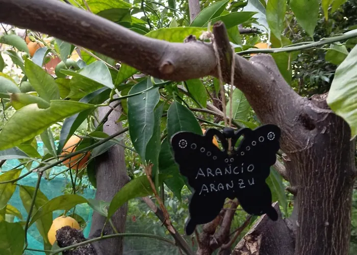 Civico 28 Apartamento Badesi